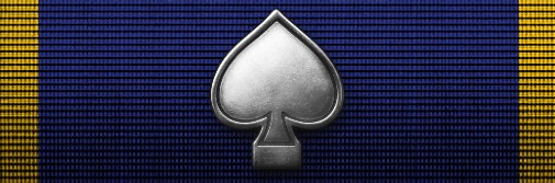 VETERANO DE LOS 4 DÍAS DE CARENTAN (PLATA)