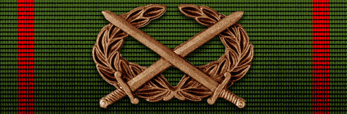 CURSO INSTRUCCIÓN DE INFANTERÍA BÁSICA (CIBI)