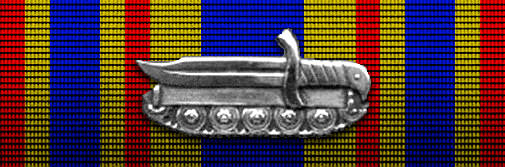 CURSO INSTRUCCIÓN DE INFANTERÍA MECANIZADA/MOTORIZADA(CIMM)