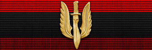 CURSO INSTRUCCIÓN DE OPERACIONES ESPECIALES (CIOE)
