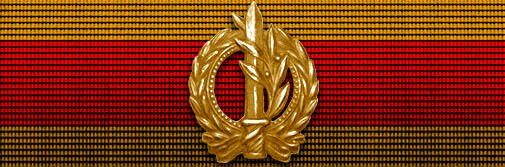 CURSO INSTRUCCIÓN DE OFICIALES (CIOF)