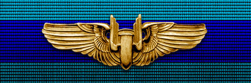 CURSO INSTRUCCIÓN DE PILOTO DE COMBATE (CIPC)