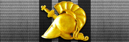 GRUPO DE INSTRUCTORES DE SQUAD ALPHA (GIA)